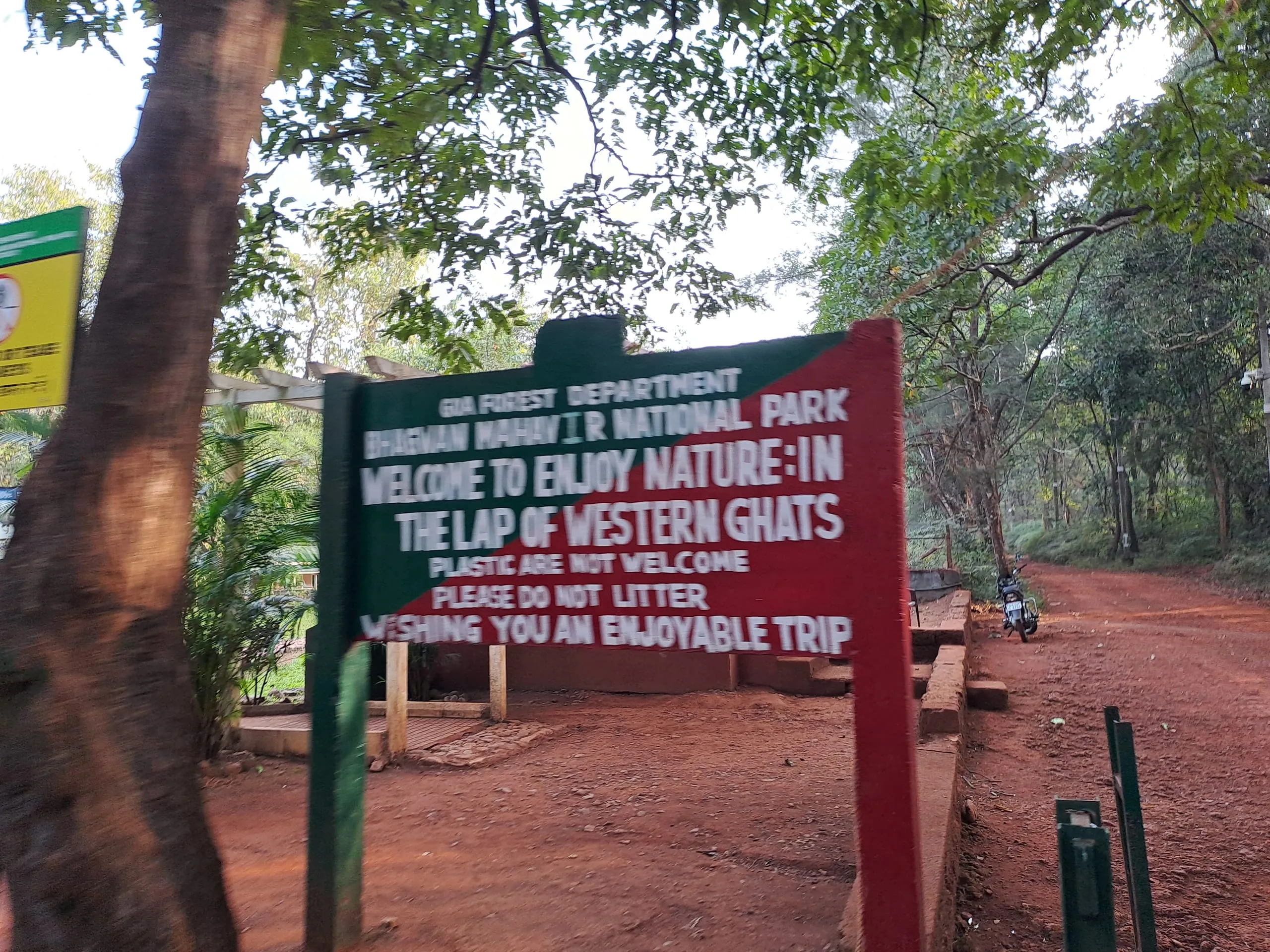 Dudhsagar Waterfall: Goa's Majestic 'Sea of Milk'