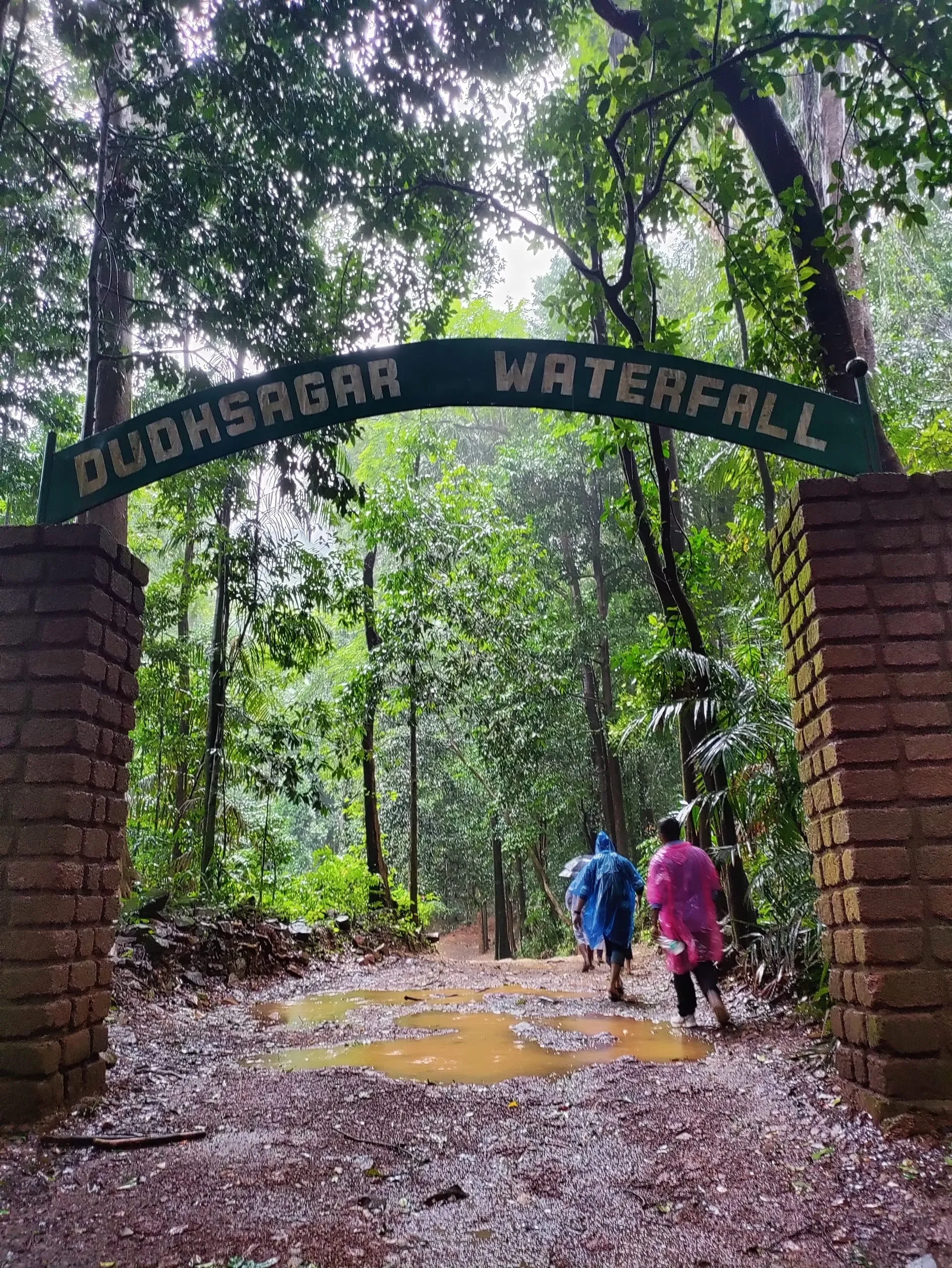 Dudhsagar Waterfall: Goa's Majestic 'Sea of Milk'