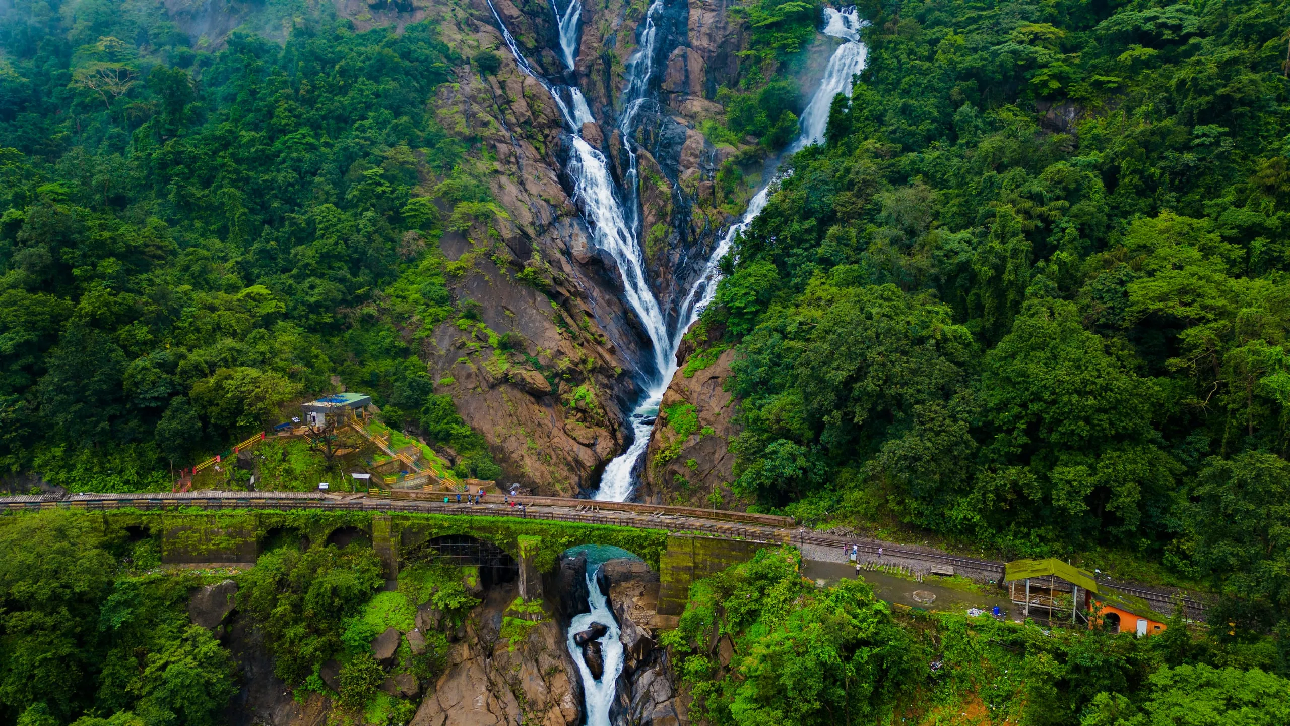 Dudhsagar Waterfall: Goa's Majestic 'Sea of Milk'