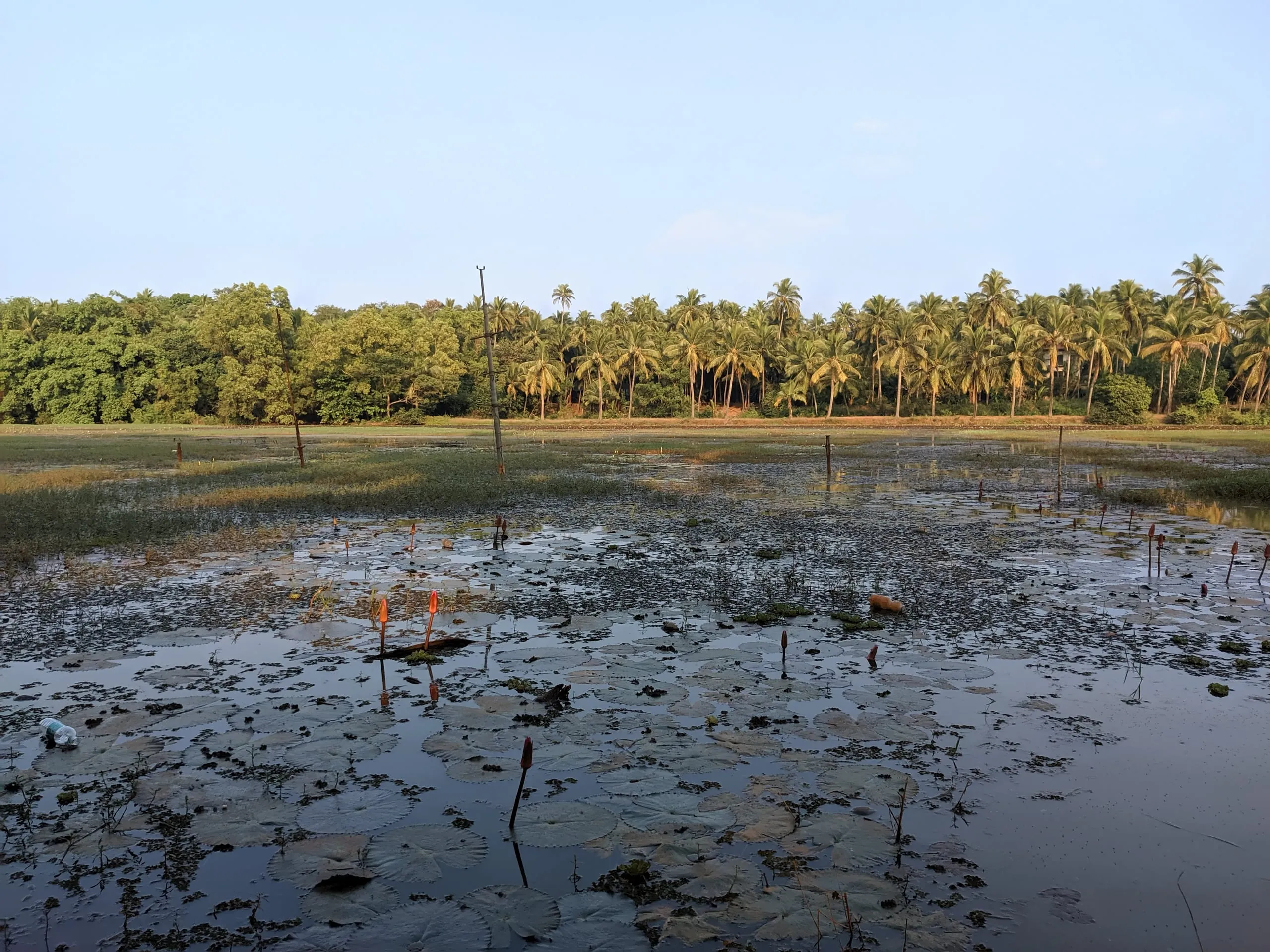 Cotigao Wildlife Sanctuary: Goa's Untamed Jungle Escape