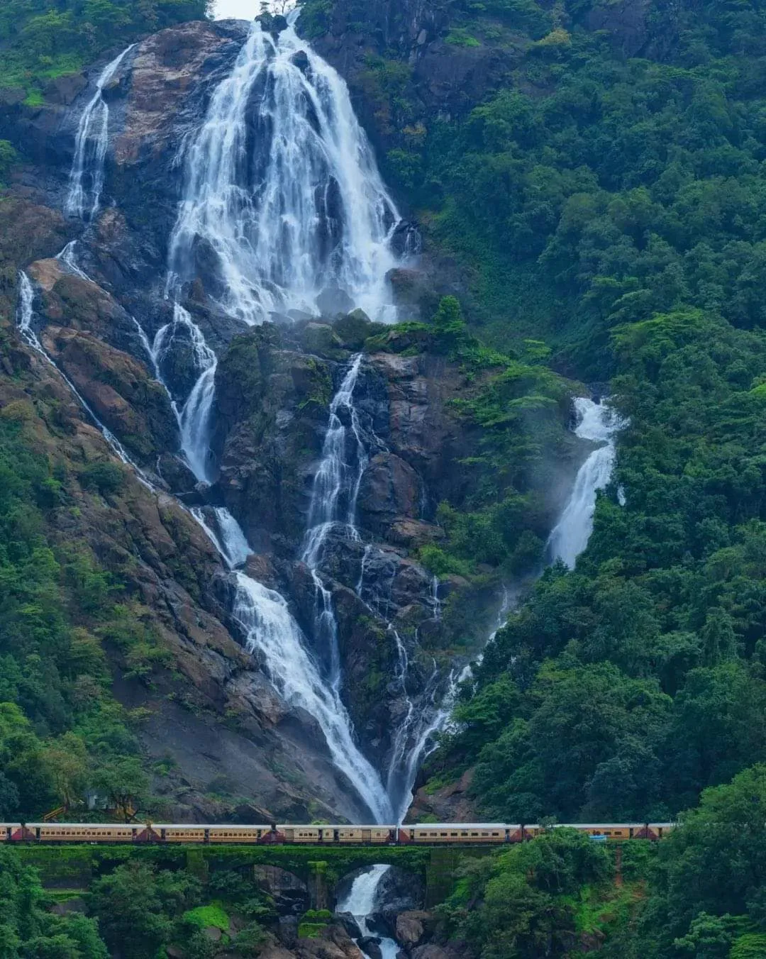Dudhsagar Waterfall: Goa's Majestic 'Sea of Milk'