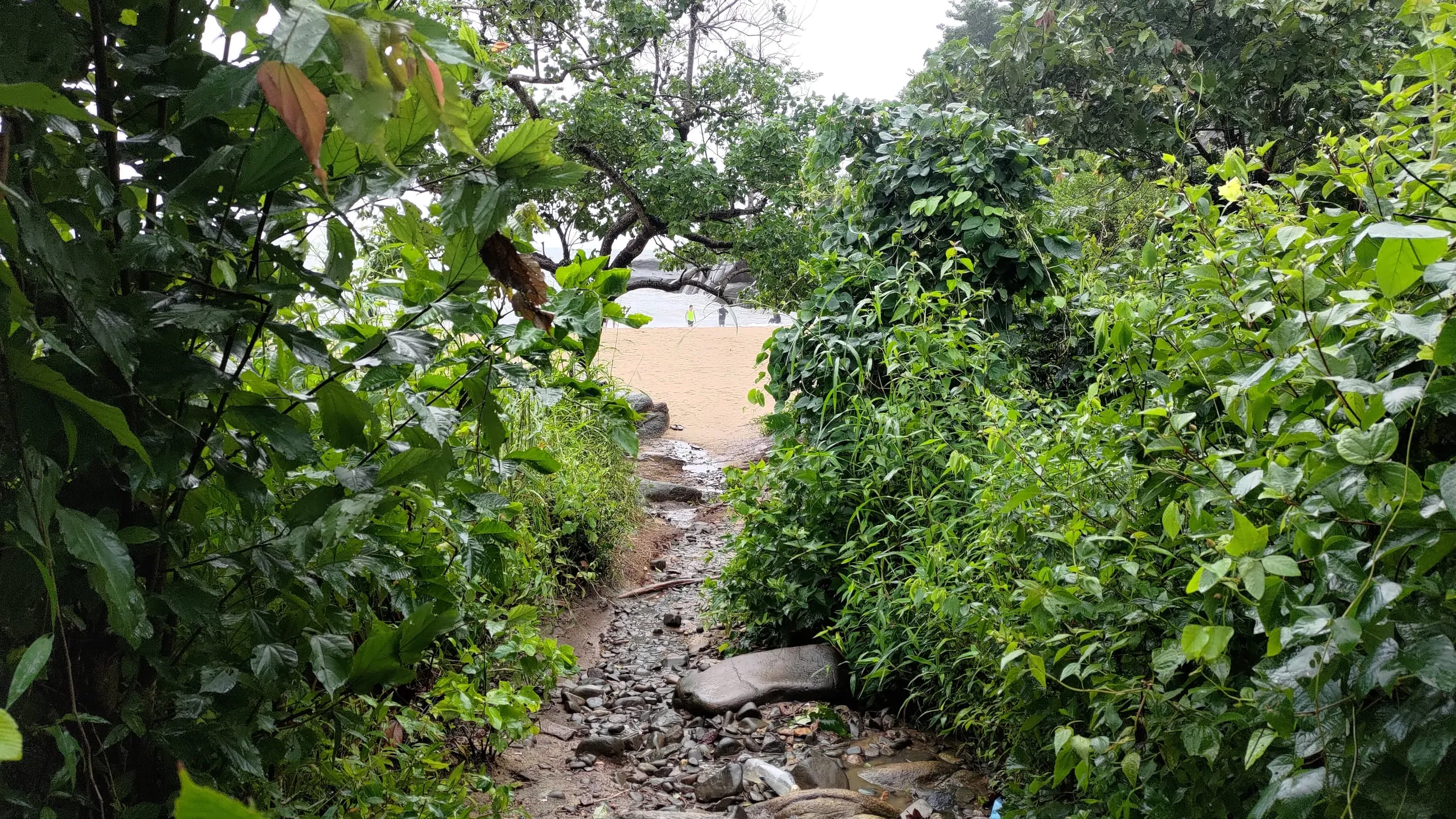 Butterfly Beach, Goa: A Hidden Paradise for Nature Lovers