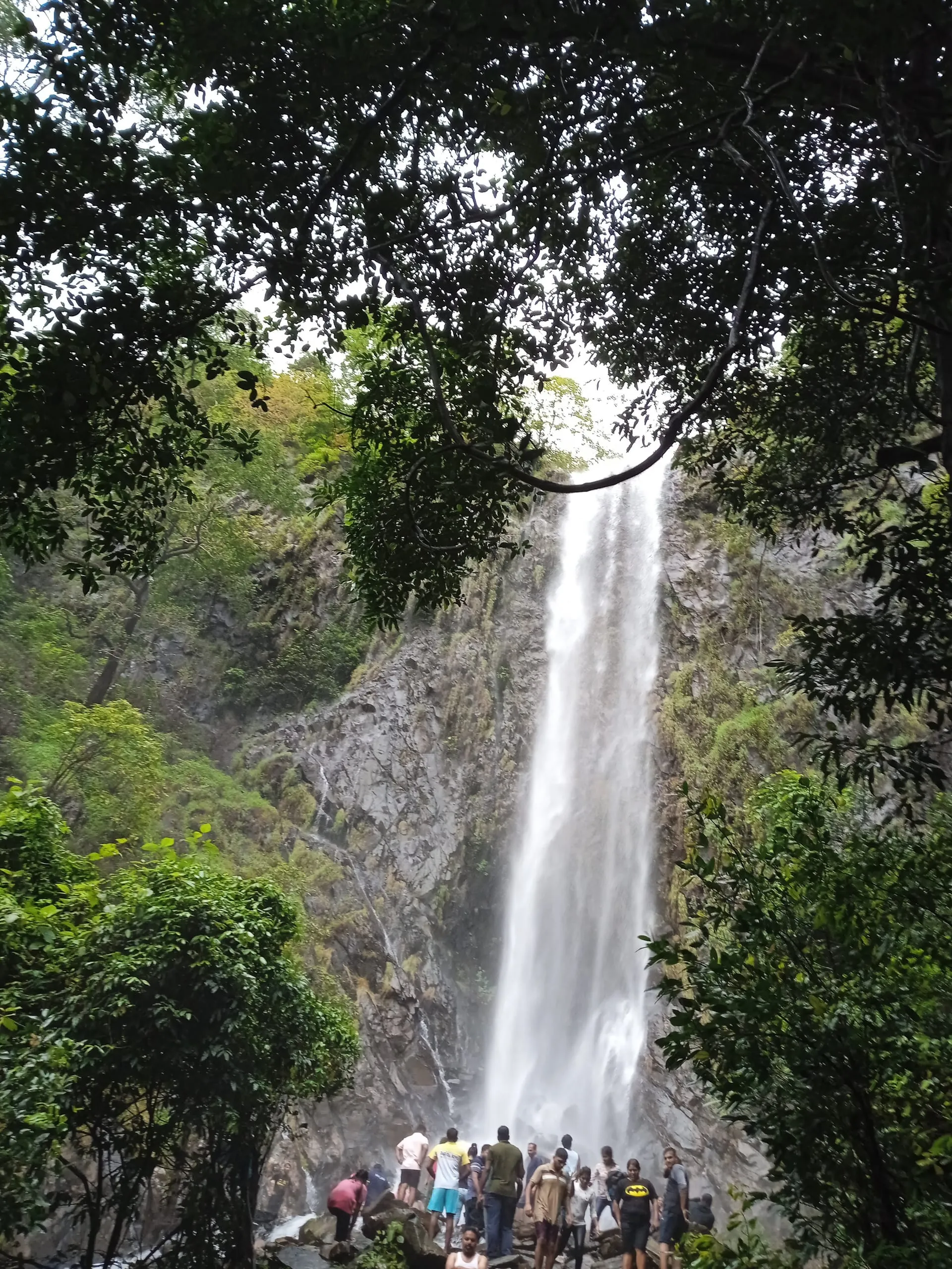 Cotigao Wildlife Sanctuary: Goa's Untamed Jungle Escape