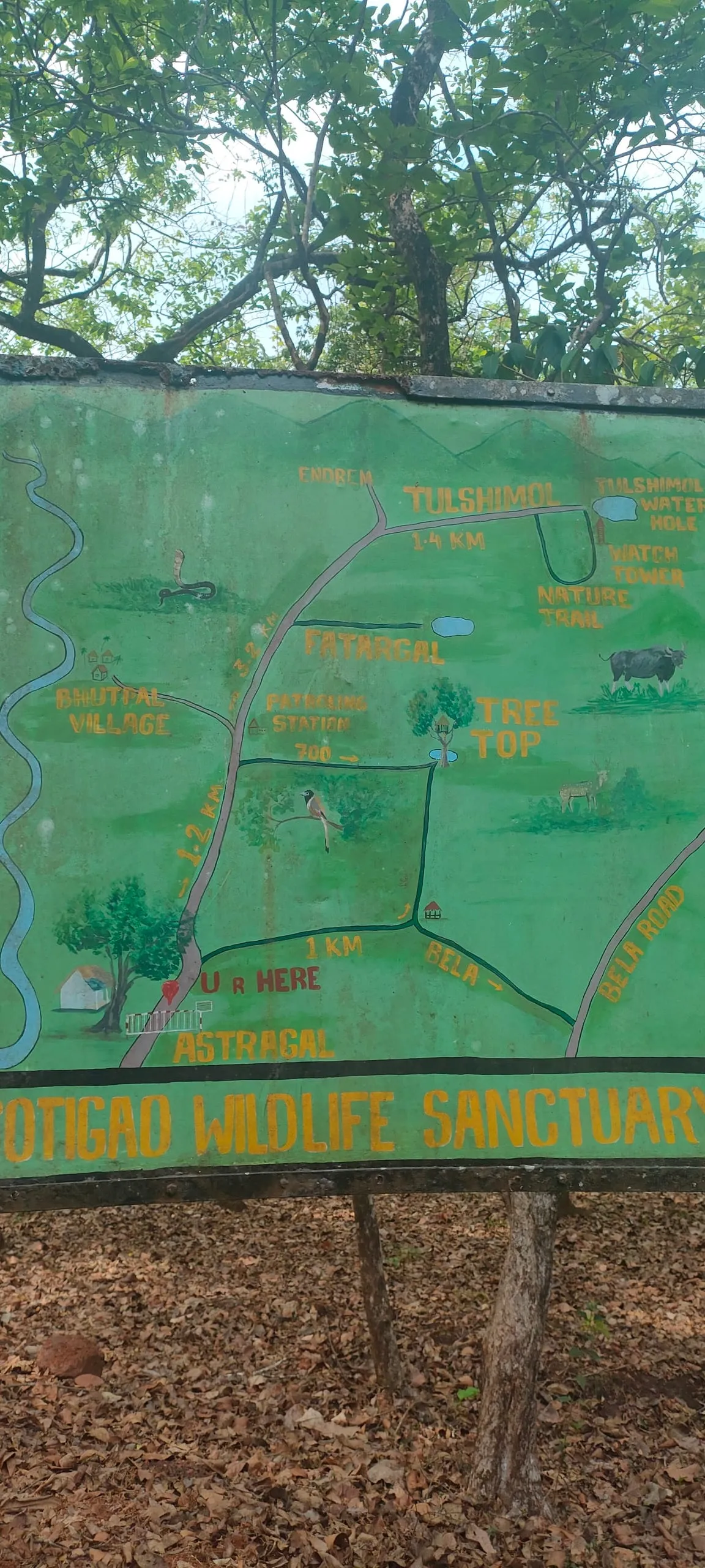 Cotigao Wildlife Sanctuary: Goa's Untamed Jungle Escape