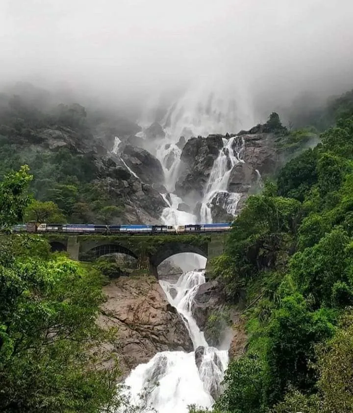 Dudhsagar Waterfall: Goa's Majestic 'Sea of Milk'