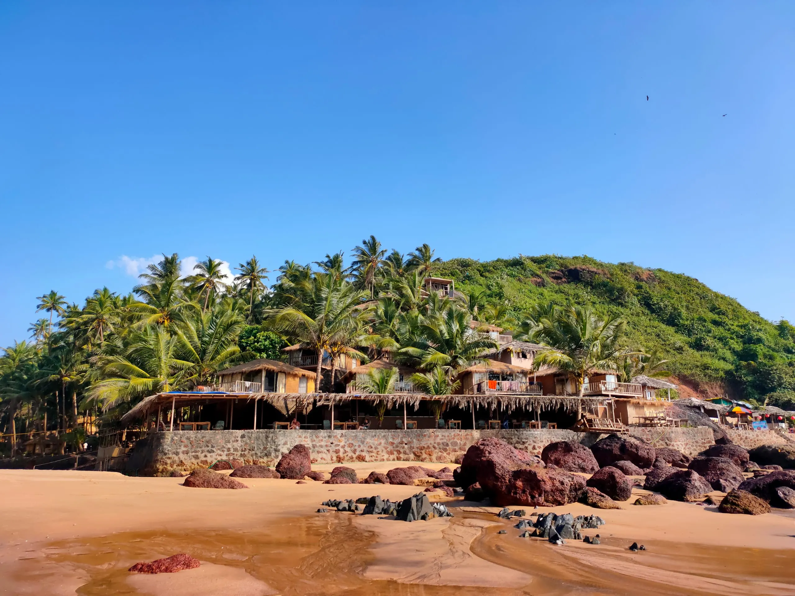 Cola Beach, Goa: A Hidden Paradise for Serenity & Adventure