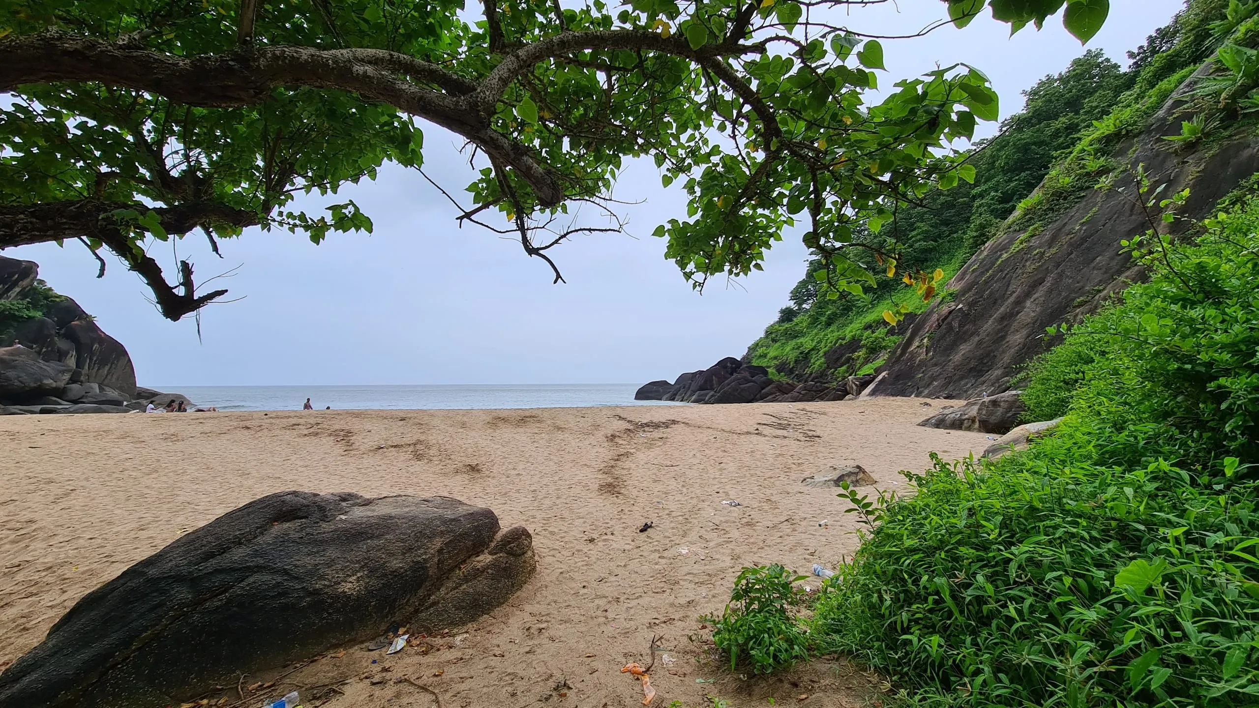 Butterfly Beach, Goa: A Hidden Paradise for Nature Lovers